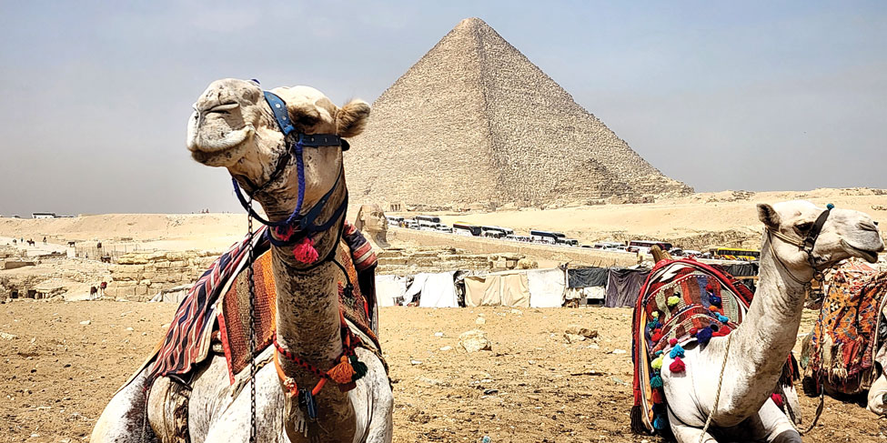 Iowa Soybean Sales to Egypt and Morocco