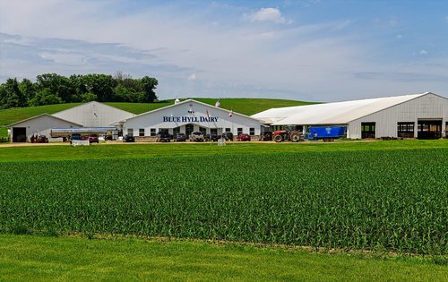 Blue Hyll Dairy is located outside of Clinton, Iowa. It recently completed a $6.5 million expansion featuring a cross-vent barn. Photo credit: Joseph L. Murphy/Iowa Soybean Association