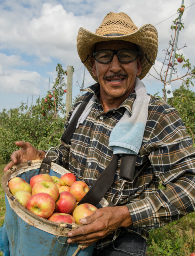 Man holding basket of red apples