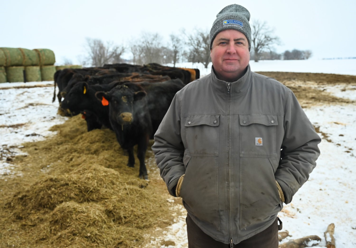 Dave Walton standing in front of cattle