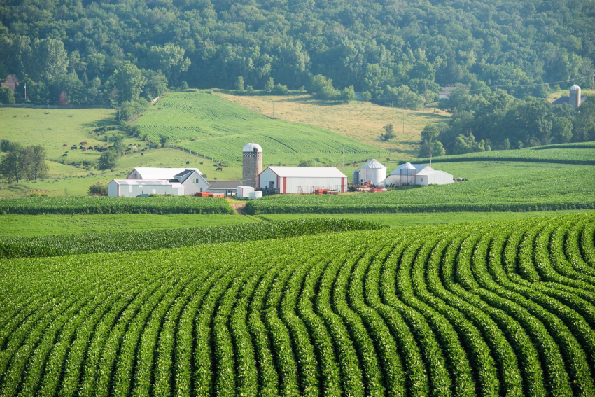 Iowa farm